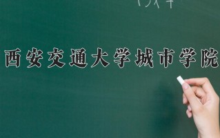 2025年西安交通大学城市学院在新疆计划招生人数（附学费及专业录取分)