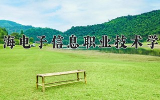 2025年上海电子信息职业技术学院在四川计划招生人数（附学费及专业录取分)