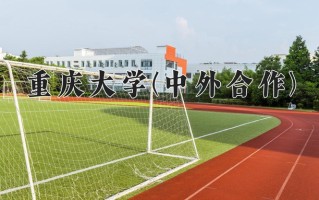2024重庆大学(中外合作)录取分数线，重庆录取最低分609