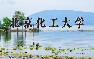 2024年北京化工大学招生章程，附办学层次和录取规则