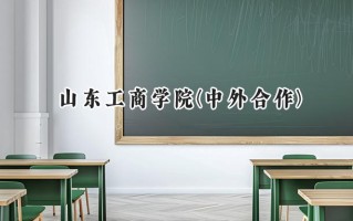 山东工商学院(中外合作)2024在内蒙古录取分数线是多少？最低416分/最高457分