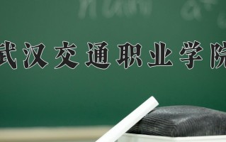 2025年武汉交通职业学院在新疆计划招生人数（附学费及专业录取分)