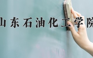 2025年山东石油化工学院在河南计划招生人数（附学费及专业录取分)