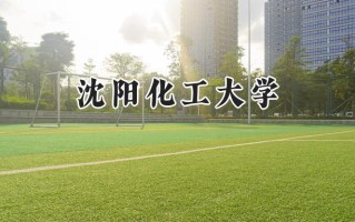 2024沈阳化工大学录取分数线：河南最低502分