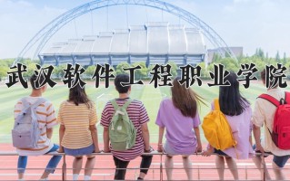 2024年武汉软件工程职业学院招生章程，附办学层次和录取规则