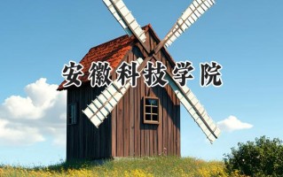 2024安徽科技学院录取分数线：江苏最低506分