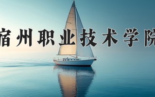 2024年宿州职业技术学院招生章程，附办学层次和录取规则