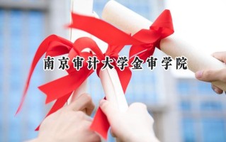 南京审计大学金审学院2024在江苏录取分数线是多少？最低495分/最高516分