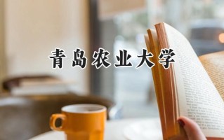 2024青岛农业大学录取分数线：宁夏最低419分