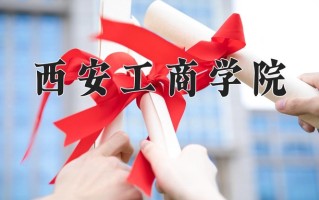 2025年西安工商学院在新疆计划招生人数（附学费及专业录取分)