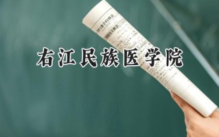 2024右江民族医学院录取分数线：山西最低451分