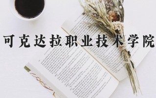 2025年可克达拉职业技术学院在河北计划招生人数（附学费及专业录取分)