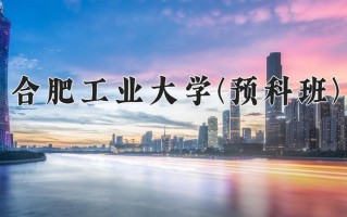 2025年合肥工业大学(预科班)在重庆计划招生人数（附学费及专业录取分)