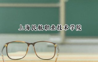 2024上海民航职业技术学院录取分数线：陕西最低378分