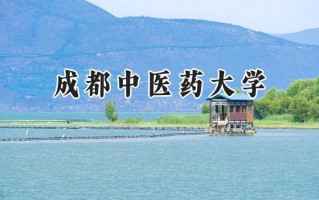 成都中医药大学2024在山东录取分数线是多少？最低528分/最高613分