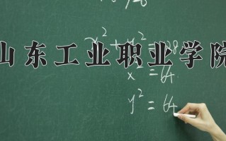 2024年山东工业职业学院招生章程，附办学层次和录取规则