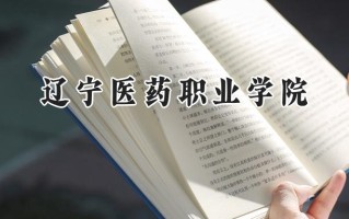 2024辽宁医药职业学院录取分数线：山西最低343分