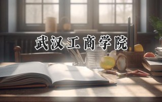 2024武汉工商学院录取分数线：河南最低339分
