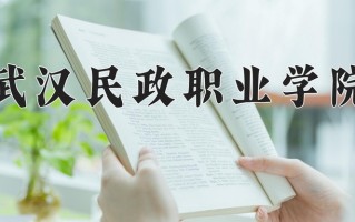 武汉民政职业学院一年学费多少钱及各专业的收费标准(2025参考）