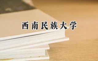 西南民族大学2024在新疆录取分数线是多少？最低390分/最高491分
