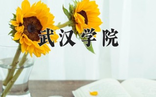 2024年武汉学院招生章程，附办学层次和录取规则