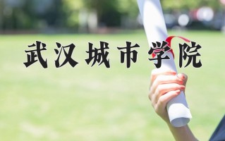 2024年武汉城市学院招生章程，附办学层次和录取规则