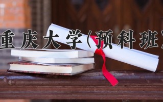 2025年重庆大学(预科班)在河北计划招生人数（附学费及专业录取分)