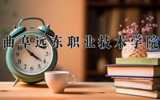 2024曲阜远东职业技术学院录取分数线，重庆录取最低分180
