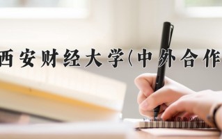 2025年西安财经大学(中外合作)在重庆计划招生人数（附学费及专业录取分)