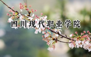 四川现代职业学院2024在山东录取分数线是多少？最低285分/最高345分