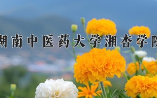 2024年湖南中医药大学湘杏学院招生章程，附办学层次和录取规则