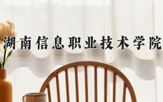 2024湖南信息职业技术学院录取分数线：浙江最低457分