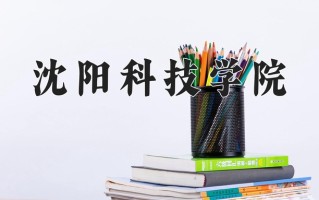 2025年沈阳科技学院在四川计划招生人数（附学费及专业录取分)