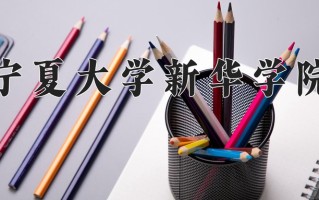 2025年宁夏大学新华学院在四川计划招生人数（附学费及专业录取分)
