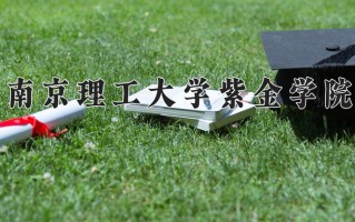 南京理工大学紫金学院最厉害的专业-2024南京理工大学紫金学院最好专业
