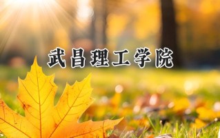 武昌理工学院2024在福建录取分数线是多少？最低457分/最高492分
