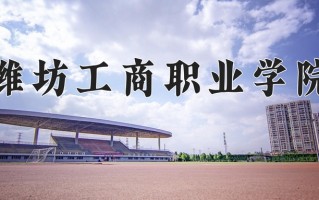 2024年潍坊工商职业学院招生章程，附办学层次和录取规则