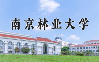 2025年南京林业大学在新疆计划招生人数（附学费及专业录取分)