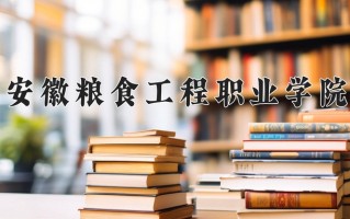 2024年安徽粮食工程职业学院招生章程，附办学层次和录取规则