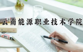 2024年云南能源职业技术学院招生章程，附办学层次和录取规则