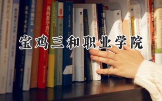 宝鸡三和职业学院2024在山东录取分数线是多少？最低318分/最高334分