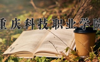 2024年重庆科技职业学院招生章程，附办学层次和录取规则