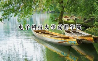 电子科技大学成都学院2024在江苏录取分数线是多少？最低476分/最高491分