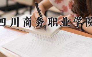 2025年四川商务职业学院在四川计划招生人数（附学费及专业录取分)