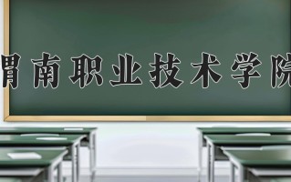 2025年渭南职业技术学院在新疆计划招生人数（附学费及专业录取分)