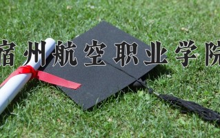 2024年宿州航空职业学院招生章程，附办学层次和录取规则