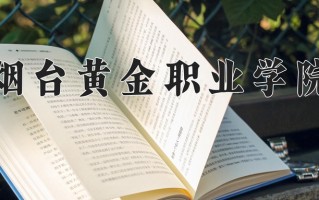 2024年烟台黄金职业学院招生章程，附办学层次和录取规则
