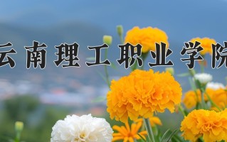 云南理工职业学院一年学费多少钱及各专业的收费标准(2025参考）