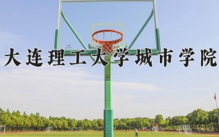 2024年大连理工大学城市学院招生章程，附办学层次和录取规则