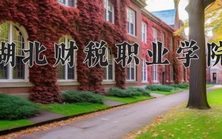 2024年湖北财税职业学院招生章程，附办学层次和录取规则